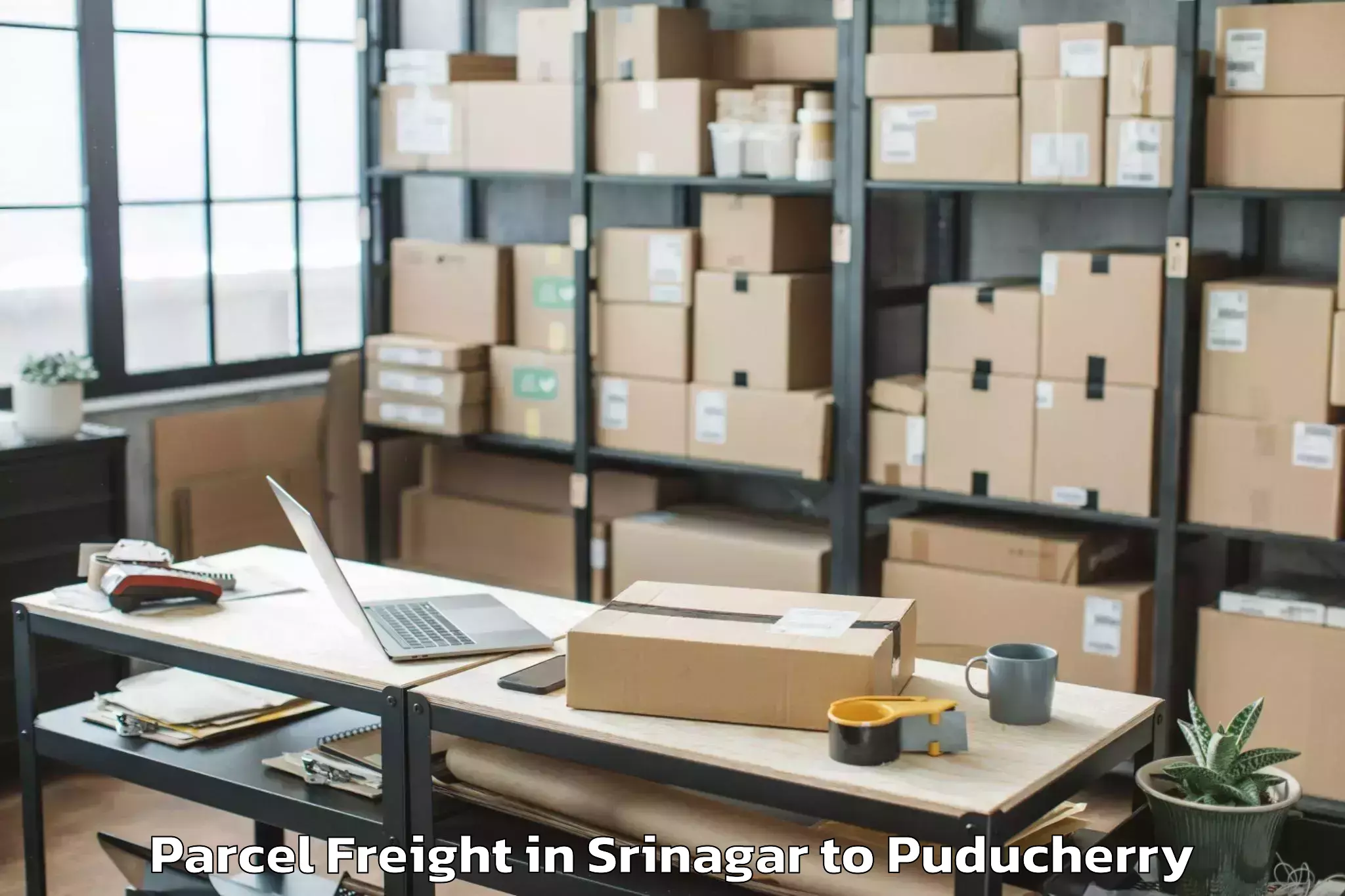 Book Srinagar to Pondicherry University Puduche Parcel Freight